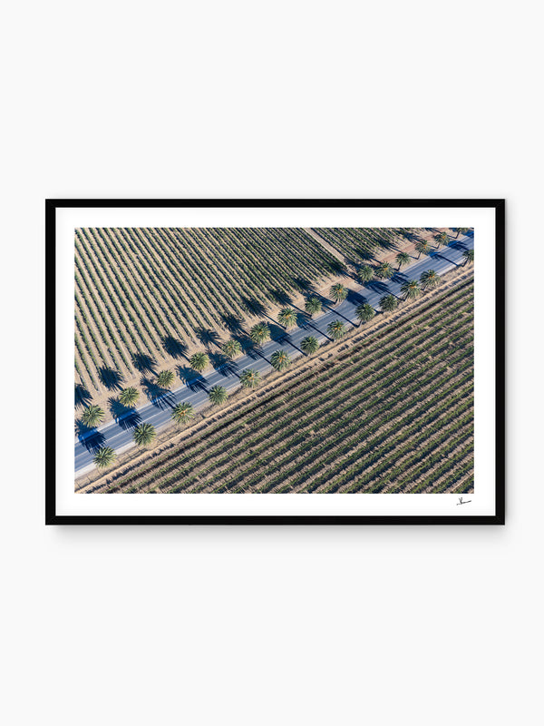 Seppeltsfield Road 03 – Barossa Valley Wall Art Print