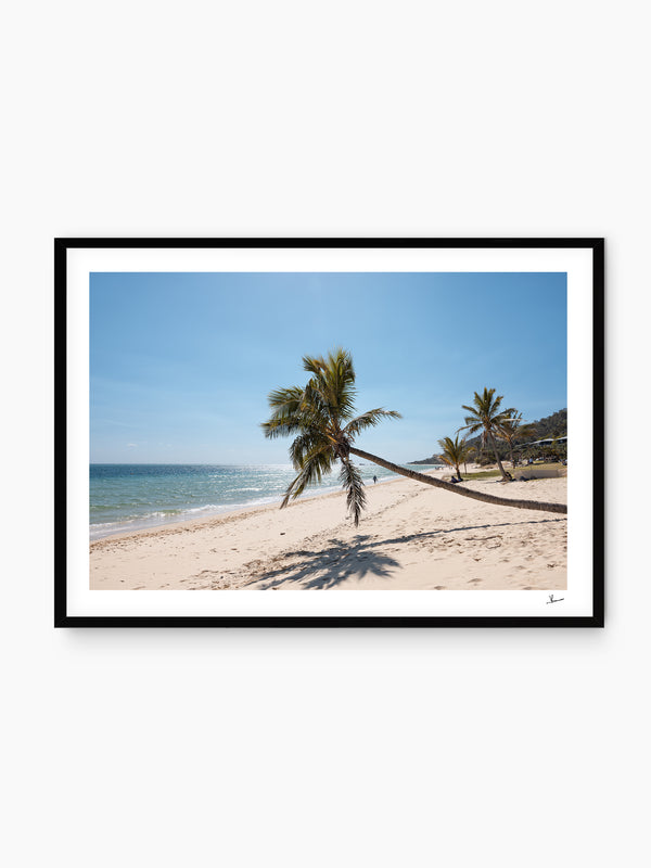 Tanga Leaning Palm - Moreton Island Wall Art Print