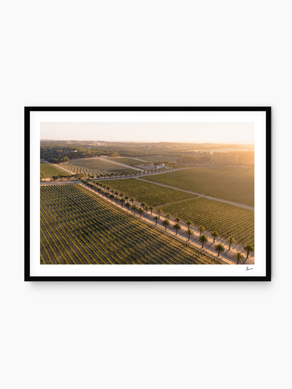 Barossa Valley Sunrise 02 – South Australia Wall Art Print