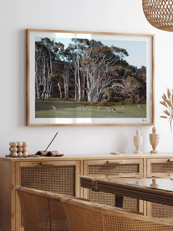 Kangaroos 01 (Little Bay Beach, NSW) - Wall Art Print