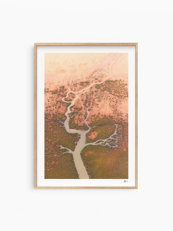 Mangrove Roots — wall art print in Classic Raw Wood frame · Australia Unseen