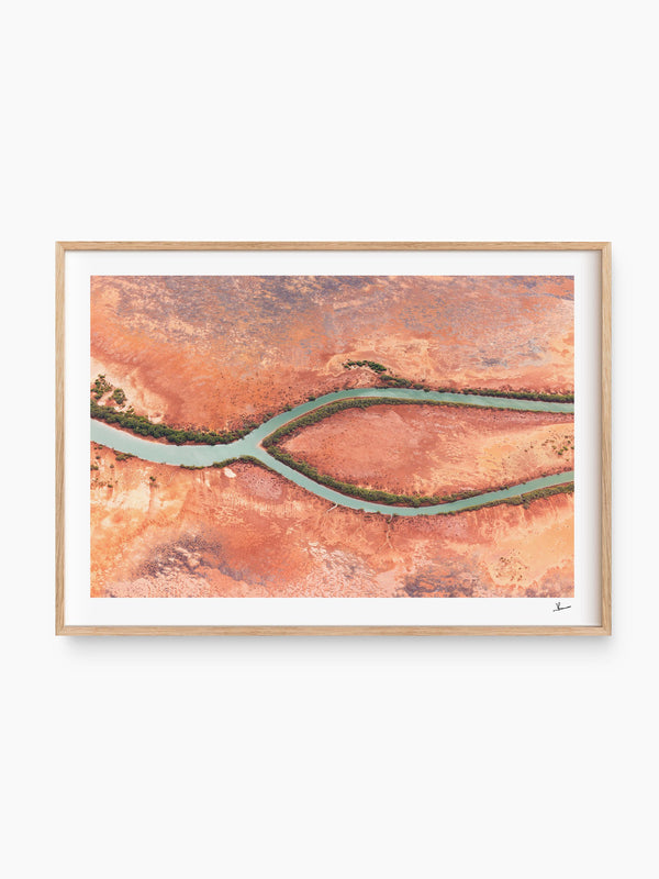 Wishbone — wall art print in Classic Raw Wood frame · Australia Unseen