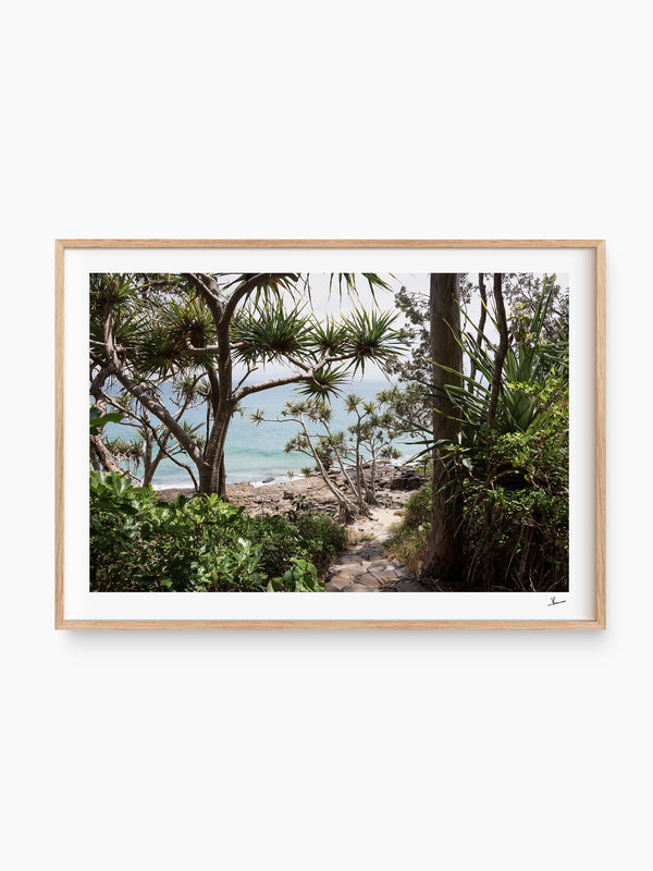 Down Pandanus Lane – Noosa National Park Wall Art Print