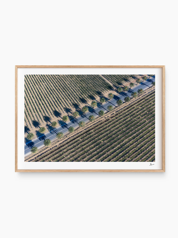 Seppeltsfield Road 03 – Barossa Valley Wall Art Print