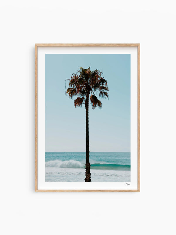 Palm Tree 01 (Whale Beach) - Wall Art Print