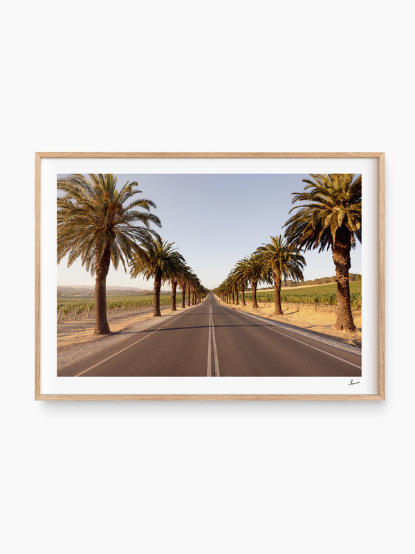 Seppeltsfield Road 01 – Barossa Valley Wall Art Print
