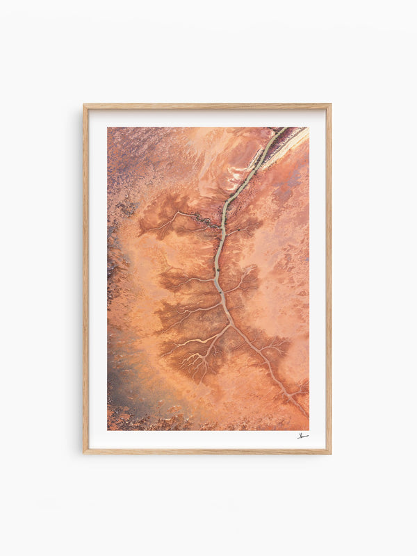 Desert Spine - Limited Edition — wall art print in Classic Raw Wood frame · Australia Unseen