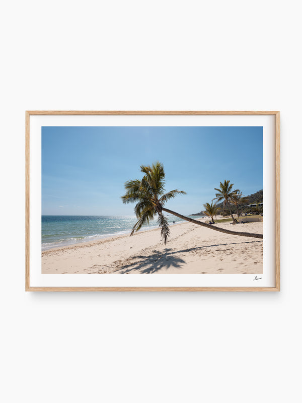 Tanga Leaning Palm - Moreton Island Wall Art Print