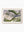 Mangrove Bay — wall art print in Classic Raw Wood frame · Australia Unseen