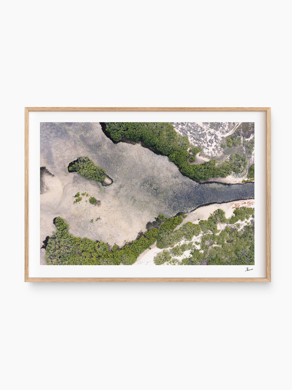 Mangrove Bay — wall art print in Classic Raw Wood frame · Australia Unseen