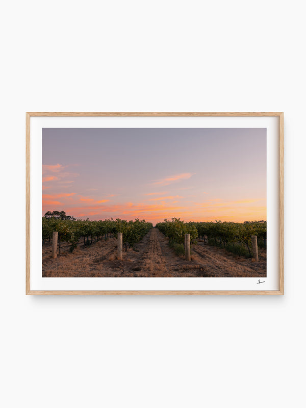 Barossa Valley First Light – South Australia Wall Art Print