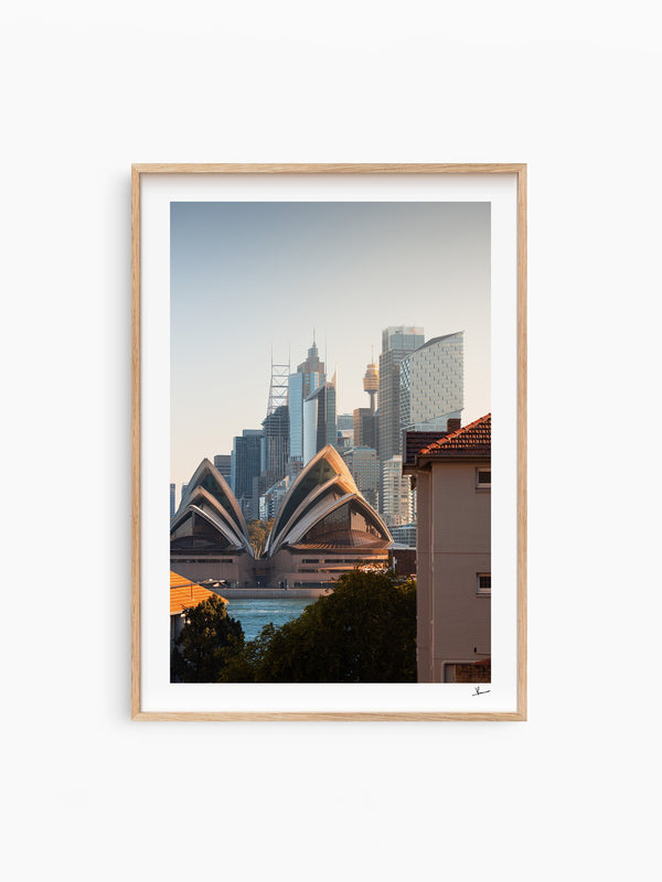 From across the harbour - Sydney — wall art print in Classic Raw Wood frame · Australia Unseen