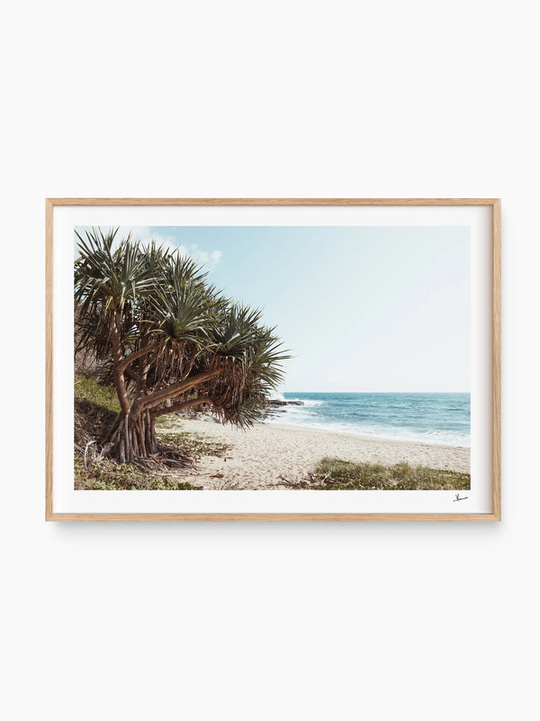 Angourie Point Beach - Wall Art Print