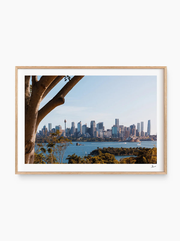 Taronga 01 - Wall Art Print