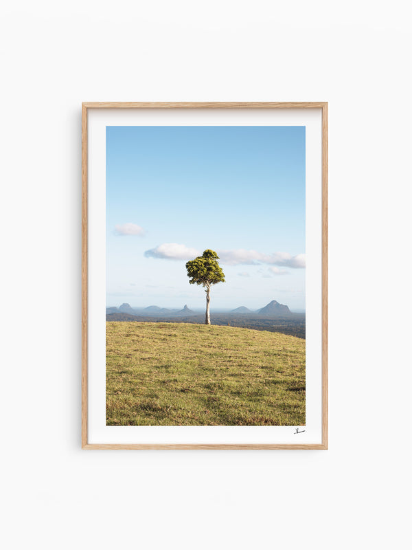 One Tree Hill 02 - Glass House Mountains Wall Art Print