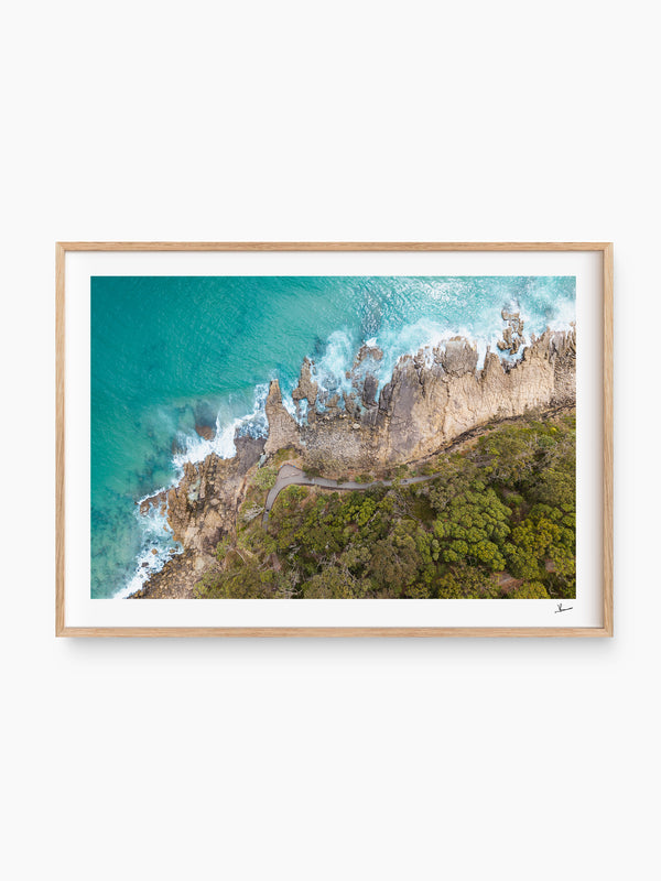 Boardwalk – Noosa National Park Wall Art Print
