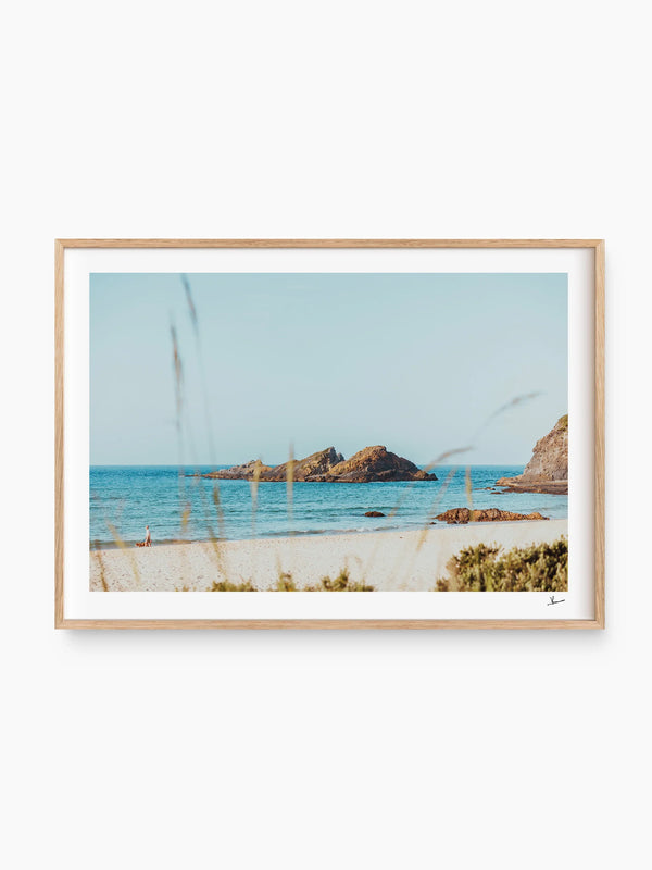 Seal Rocks 01 - Wall Art Print