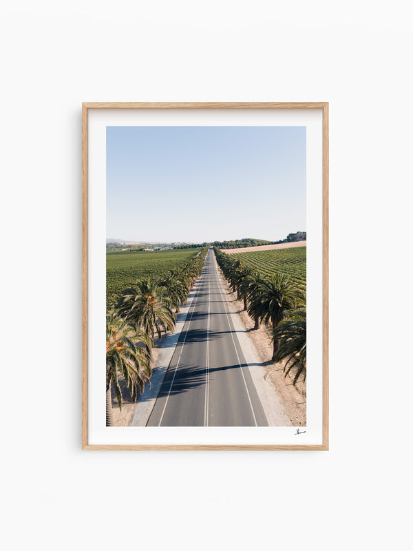 Seppeltsfield Road 02 – Barossa Valley Wall Art Print