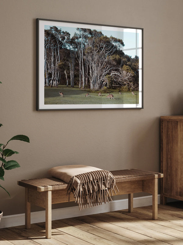 Kangaroos 01 (Little Bay Beach, NSW) - Wall Art Print
