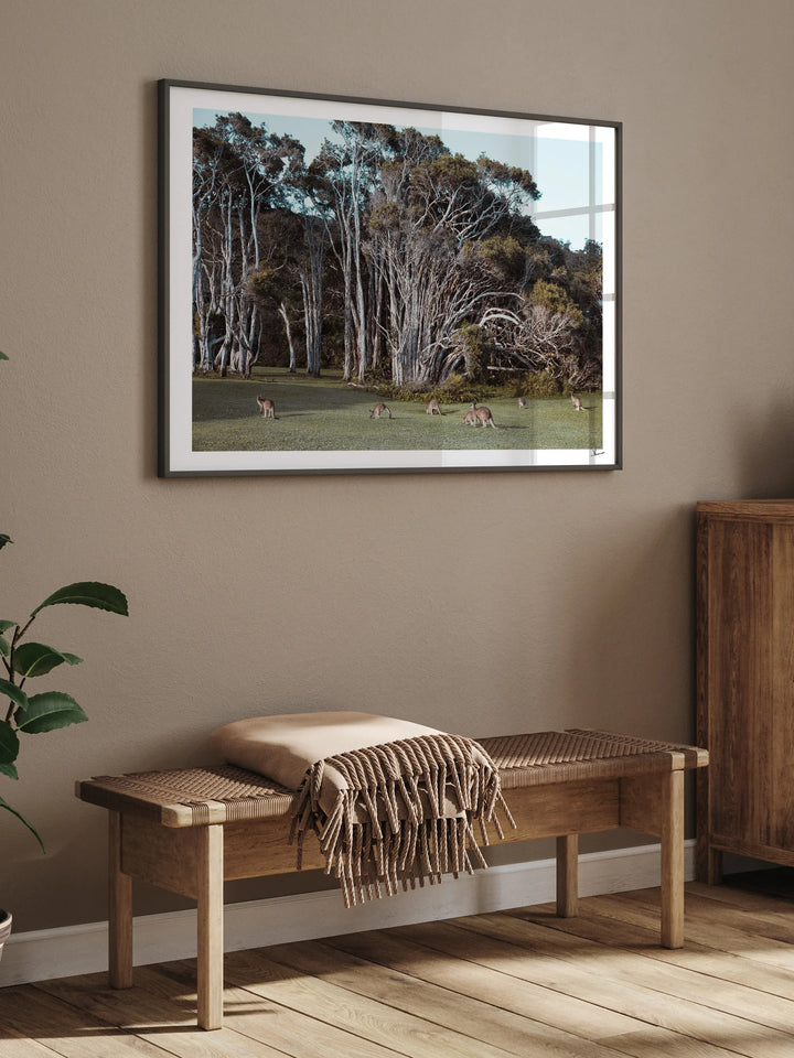Kangaroos 01 (Little Bay Beach, NSW) - Wall Art Print