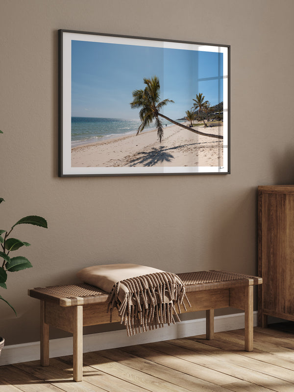 Tanga Leaning Palm - Moreton Island Wall Art Print