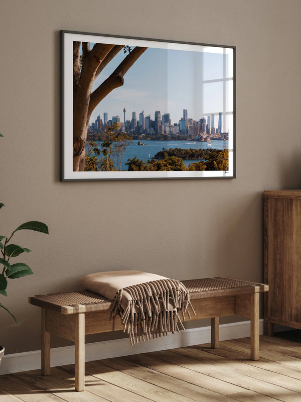Taronga 01 - Wall Art Print