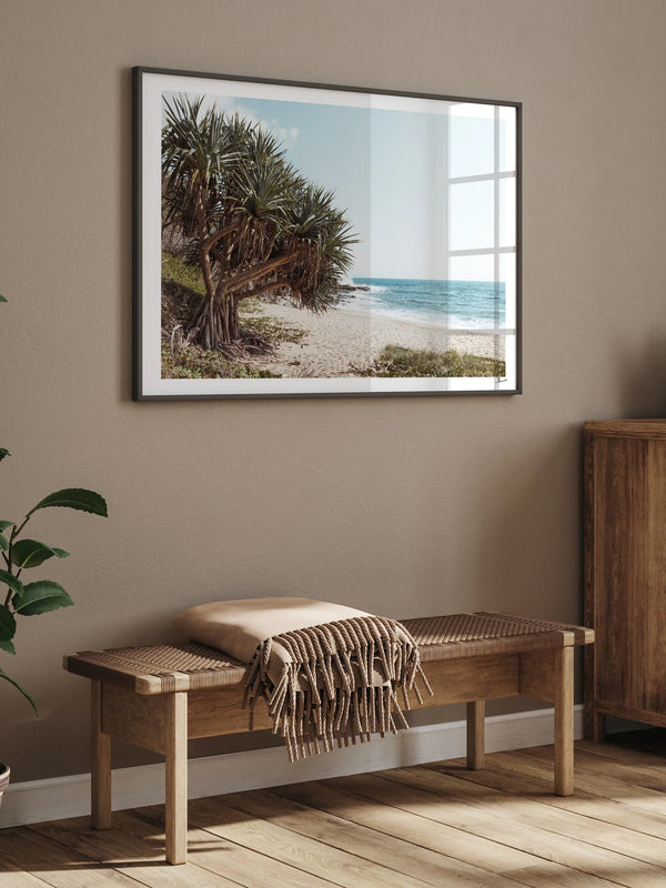 Angourie Point Beach - Wall Art Print