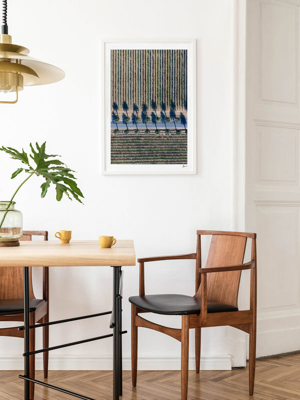 Seppeltsfield Road 04 – Barossa Valley Wall Art Print