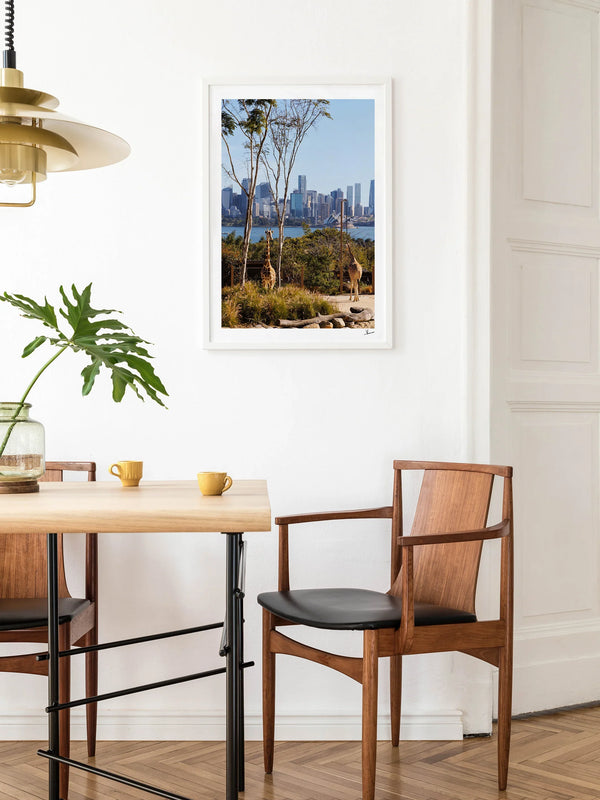 Taronga 02 - Wall Art Print