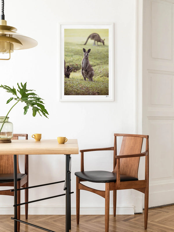 Kangaroos 02 (South West Rocks, NSW) - Wall Art Print