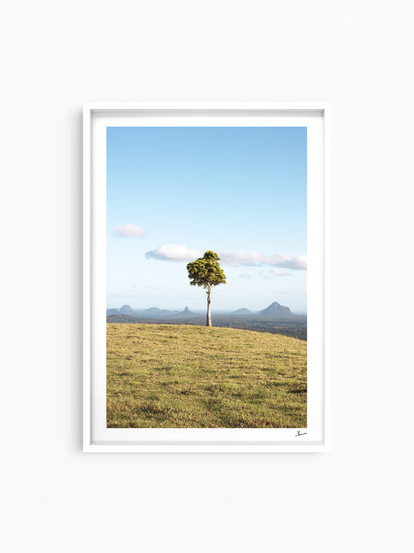 One Tree Hill 02 - Glass House Mountains Wall Art Print