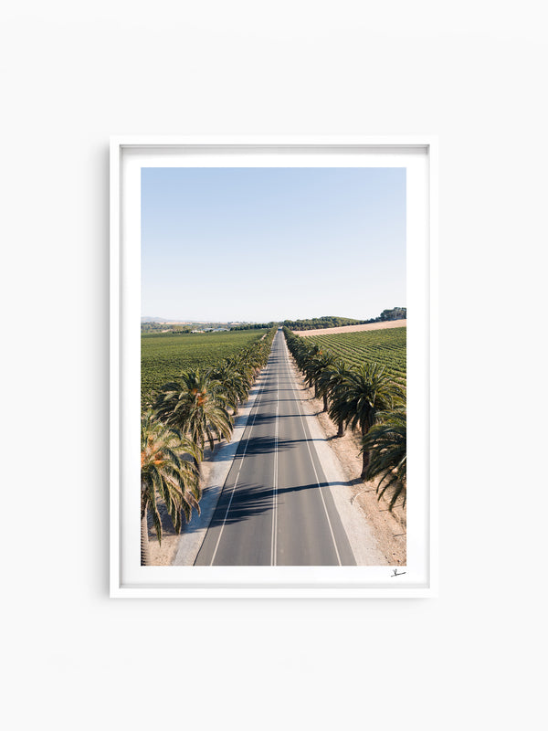 Seppeltsfield Road 02 – Barossa Valley Wall Art Print