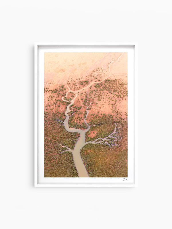 Mangrove Roots — wall art print in ShadowBox White frame · Australia Unseen