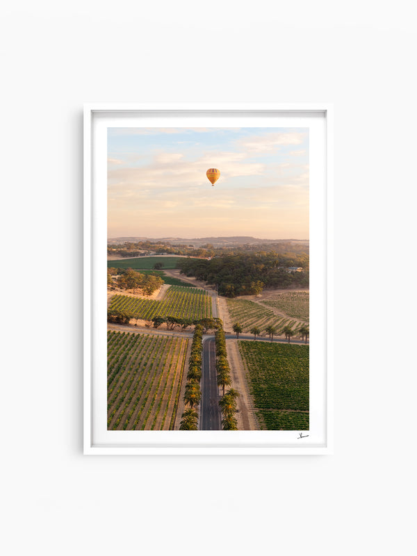 Barossa Valley Sunrise 01 – South Australia Wall Art Print