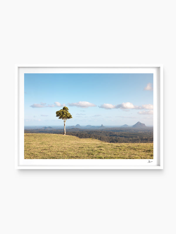 One Tree Hill 01 - Glass House Mountains Wall Art Print