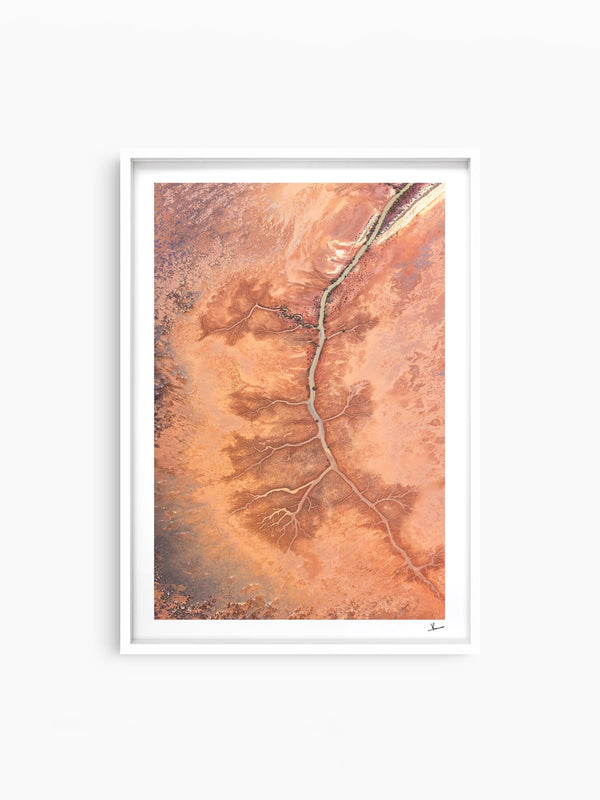Desert Spine - Limited Edition — wall art print in ShadowBox White frame · Australia Unseen