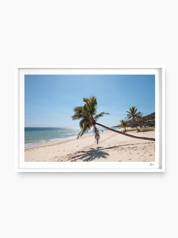 Tanga Leaning Palm - Moreton Island Wall Art Print