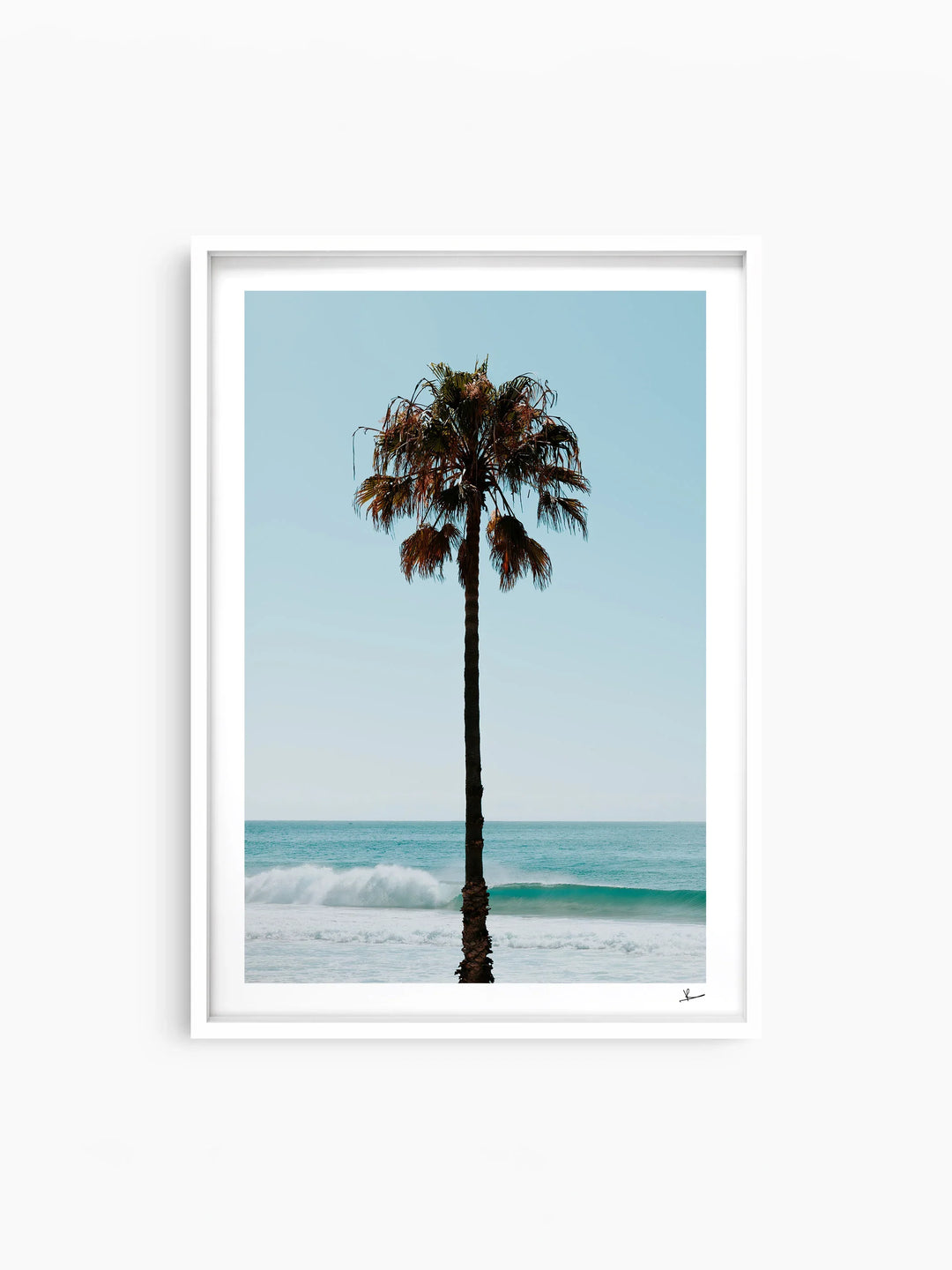 Palm Tree 01 (Whale Beach) - Wall Art Print