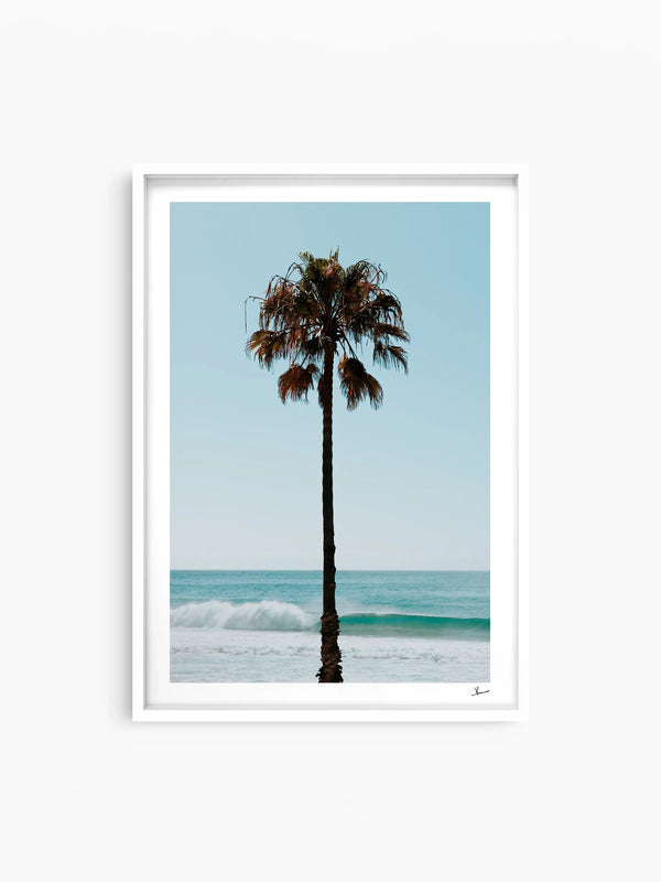 Palm Tree 01 (Whale Beach) - Wall Art Print