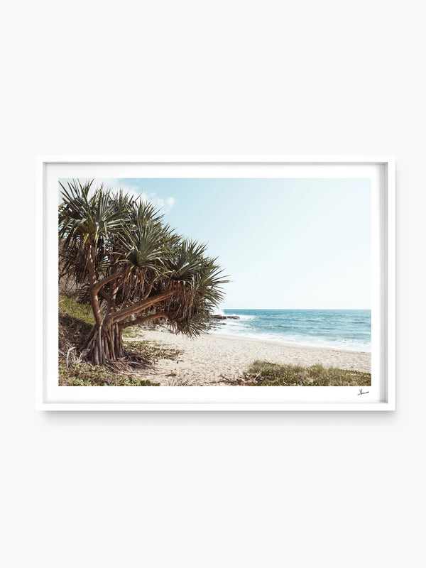 Angourie Point Beach - Wall Art Print