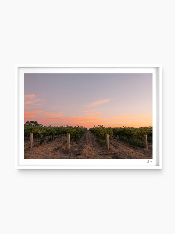 Barossa Valley First Light – South Australia Wall Art Print