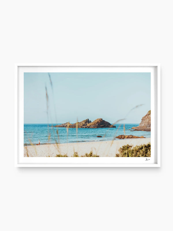 Seal Rocks 01 - Wall Art Print