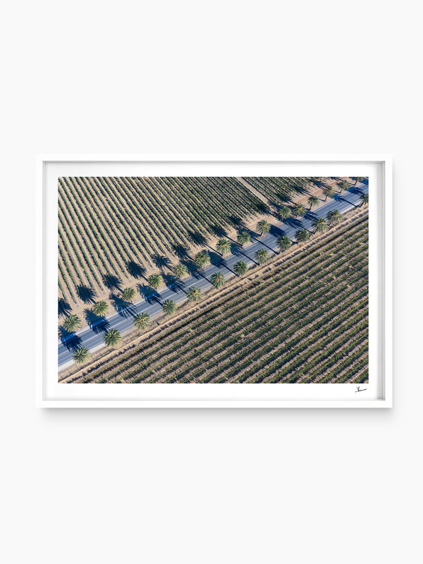 Seppeltsfield Road 03 – Barossa Valley Wall Art Print