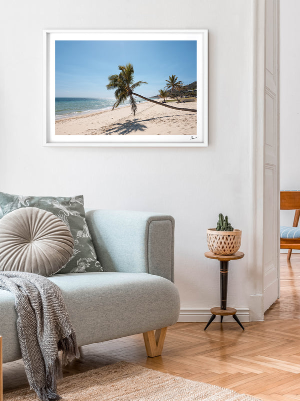 Tanga Leaning Palm - Moreton Island Wall Art Print