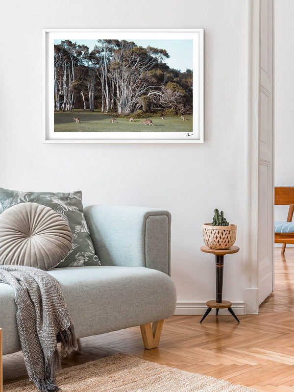 Kangaroos 01 (Little Bay Beach, NSW) - Wall Art Print