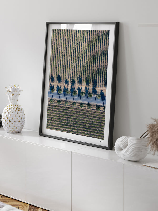 Seppeltsfield Road 04 – Barossa Valley Wall Art Print