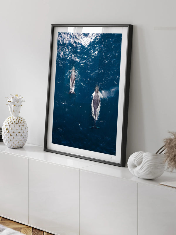 Whales 01 (Maroubra) - Wall Art Print