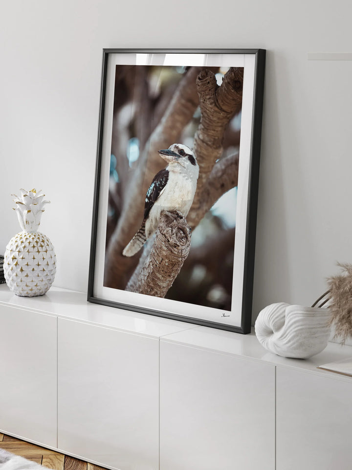 Kookaburra 02 - Wildlife Wall Art Print
