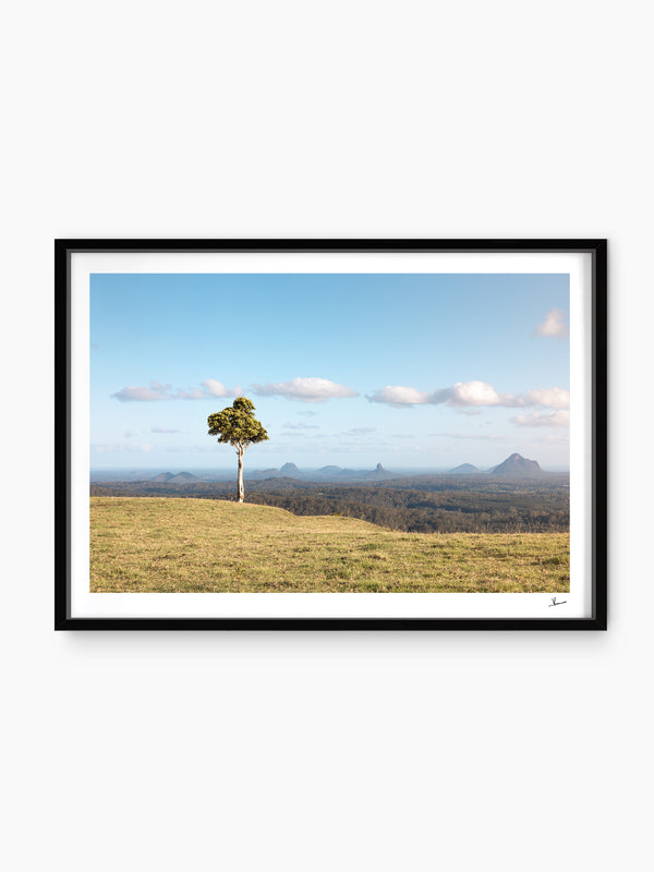 One Tree Hill 01 - Glass House Mountains Wall Art Print