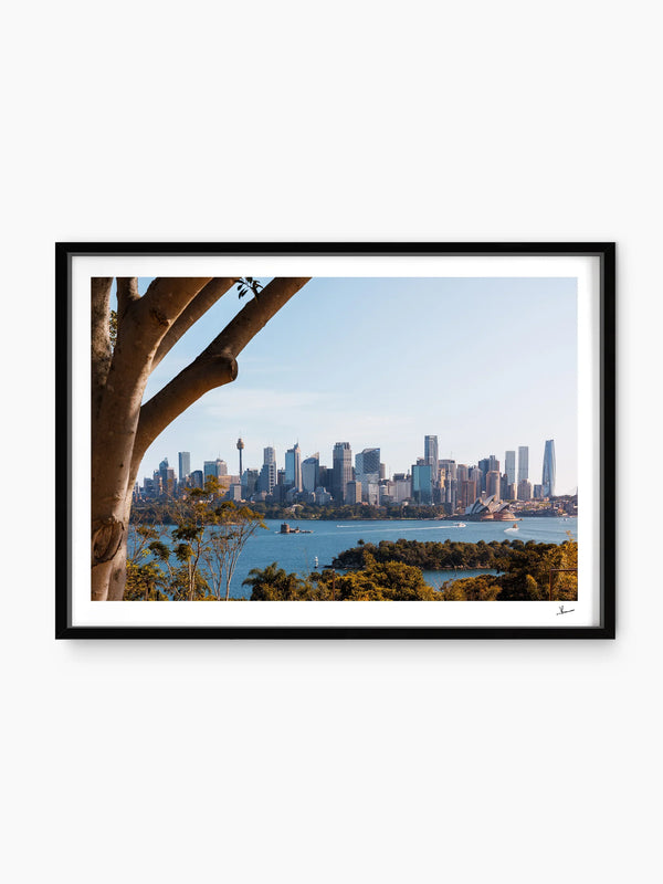 Taronga 01 - Wall Art Print